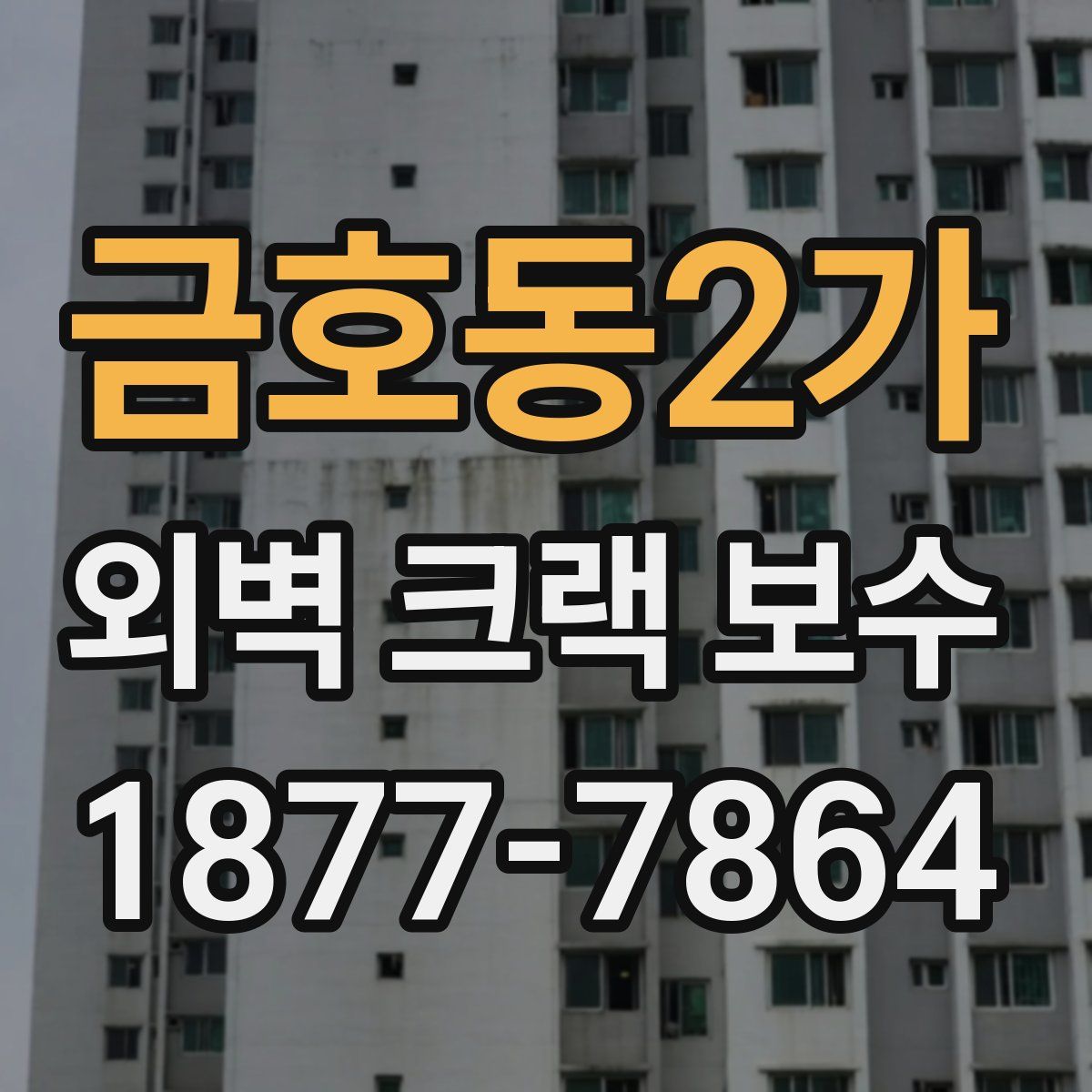 금호동2가 외벽 크랙 보수