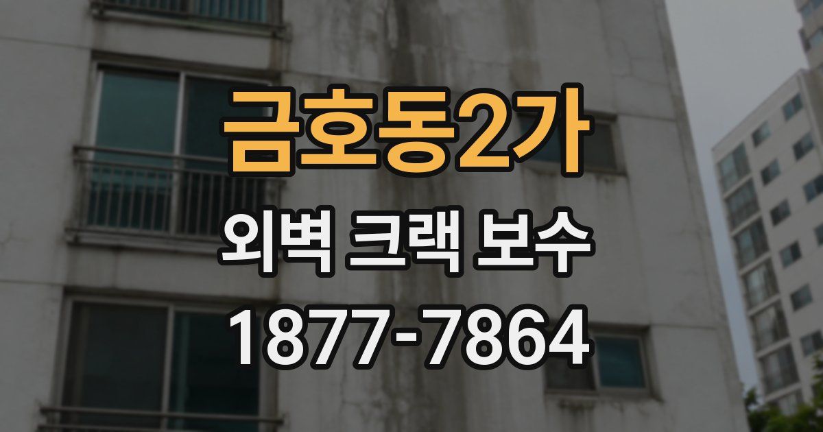 금호동2가 외벽 크랙 보수