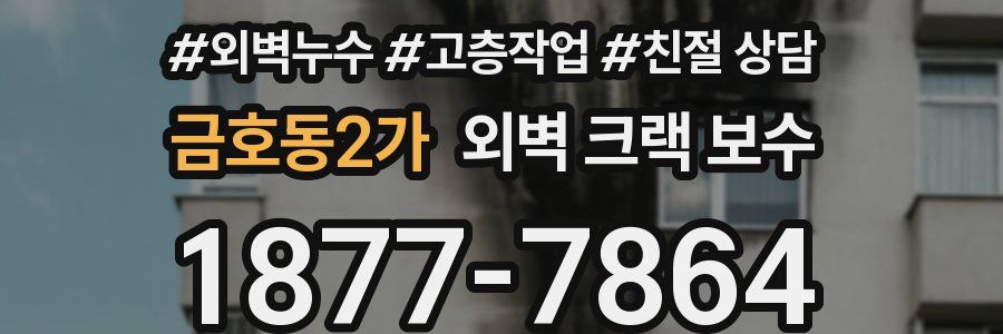 금호동2가 외벽 크랙 보수
