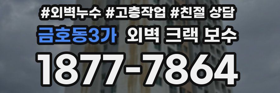 금호동3가 외벽 크랙 보수