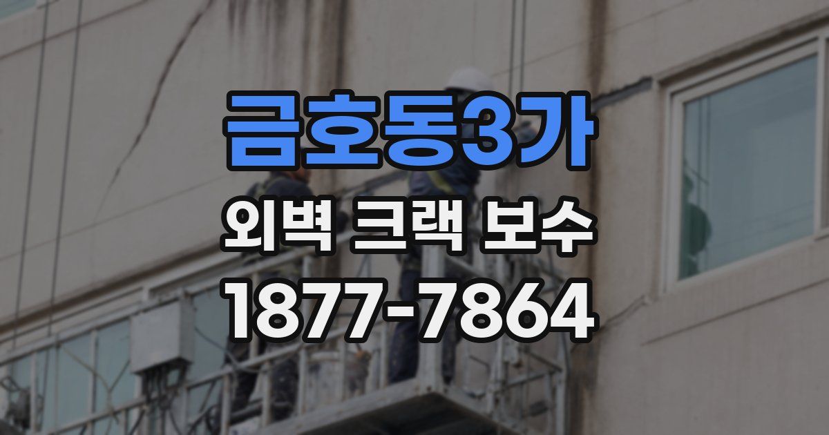 금호동3가 외벽 크랙 보수