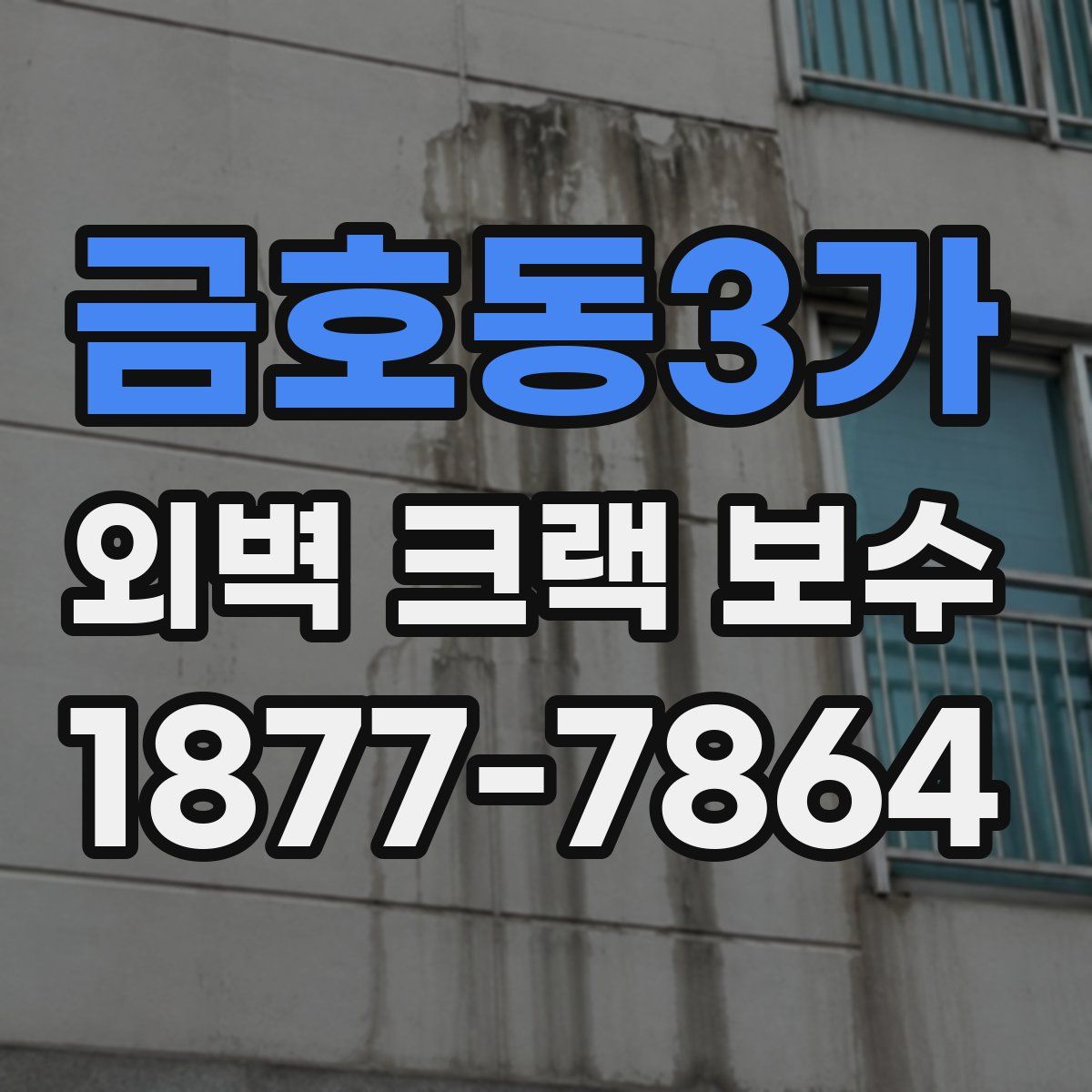 금호동3가 외벽 크랙 보수