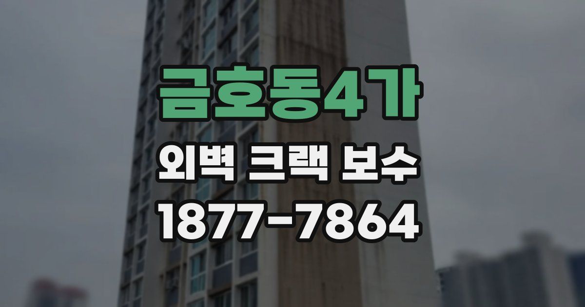 금호동4가 외벽 크랙 보수