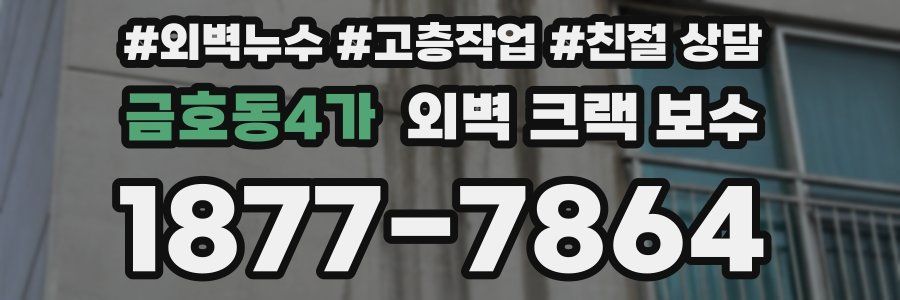 금호동4가 외벽 크랙 보수