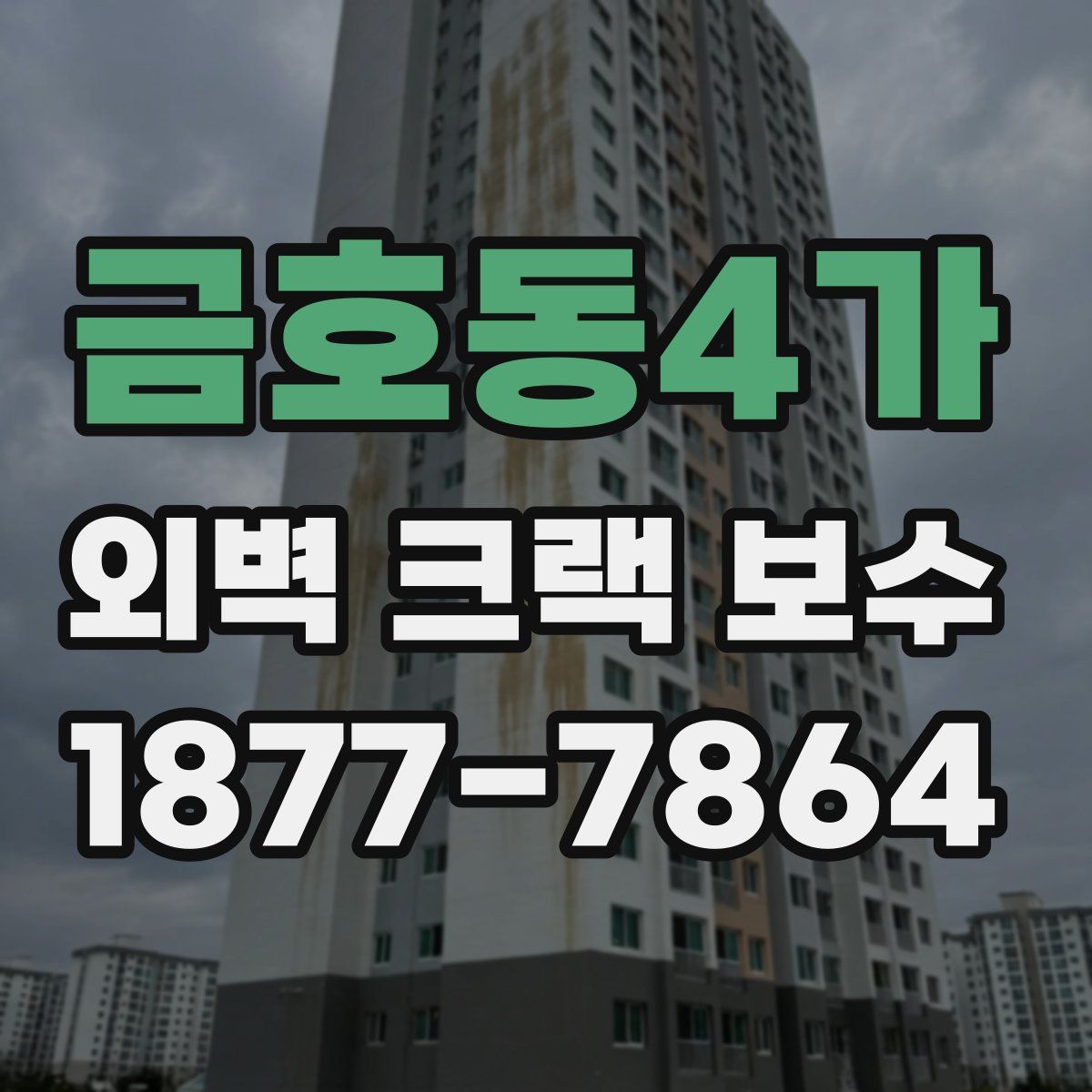 금호동4가 외벽 크랙 보수