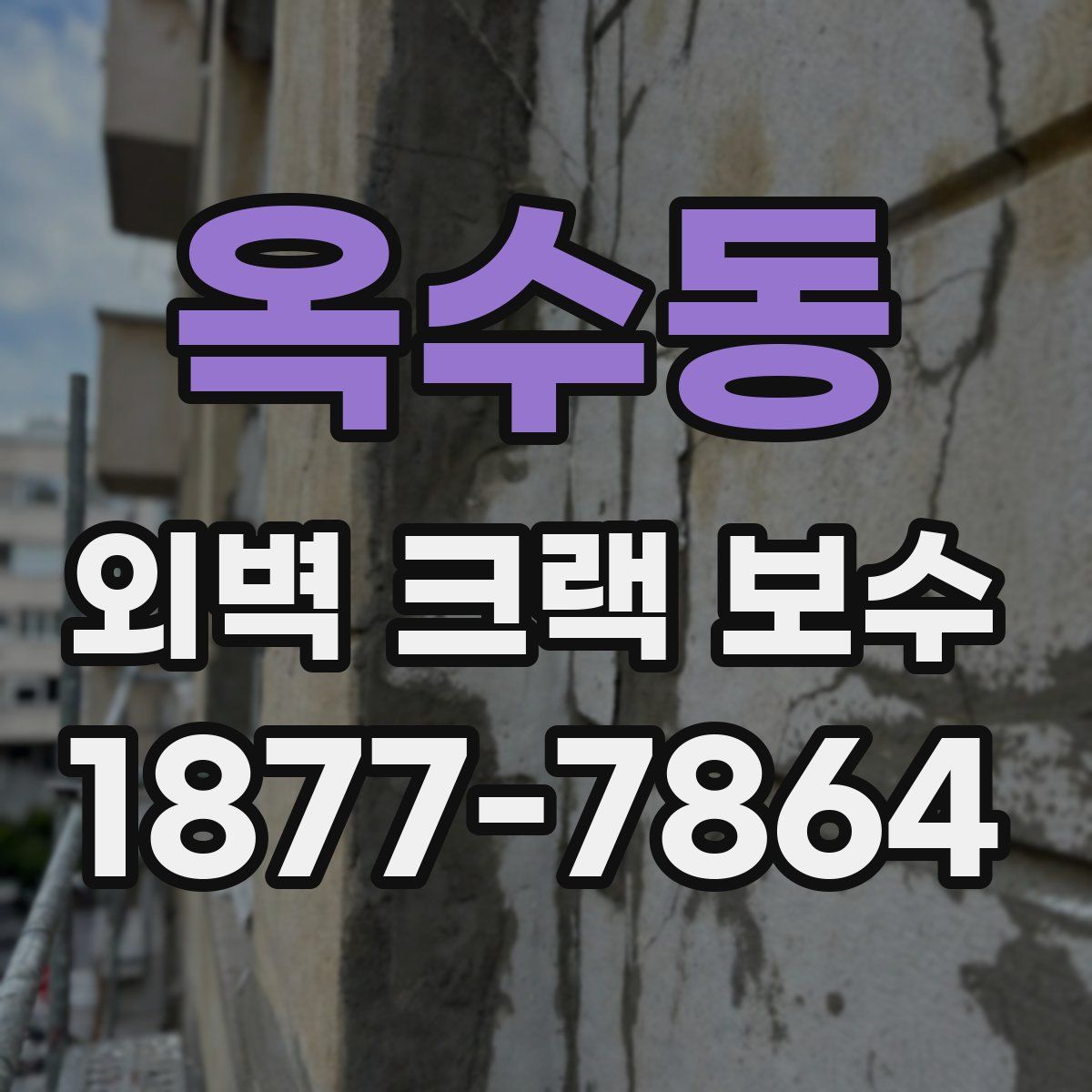 옥수동 외벽 크랙 보수