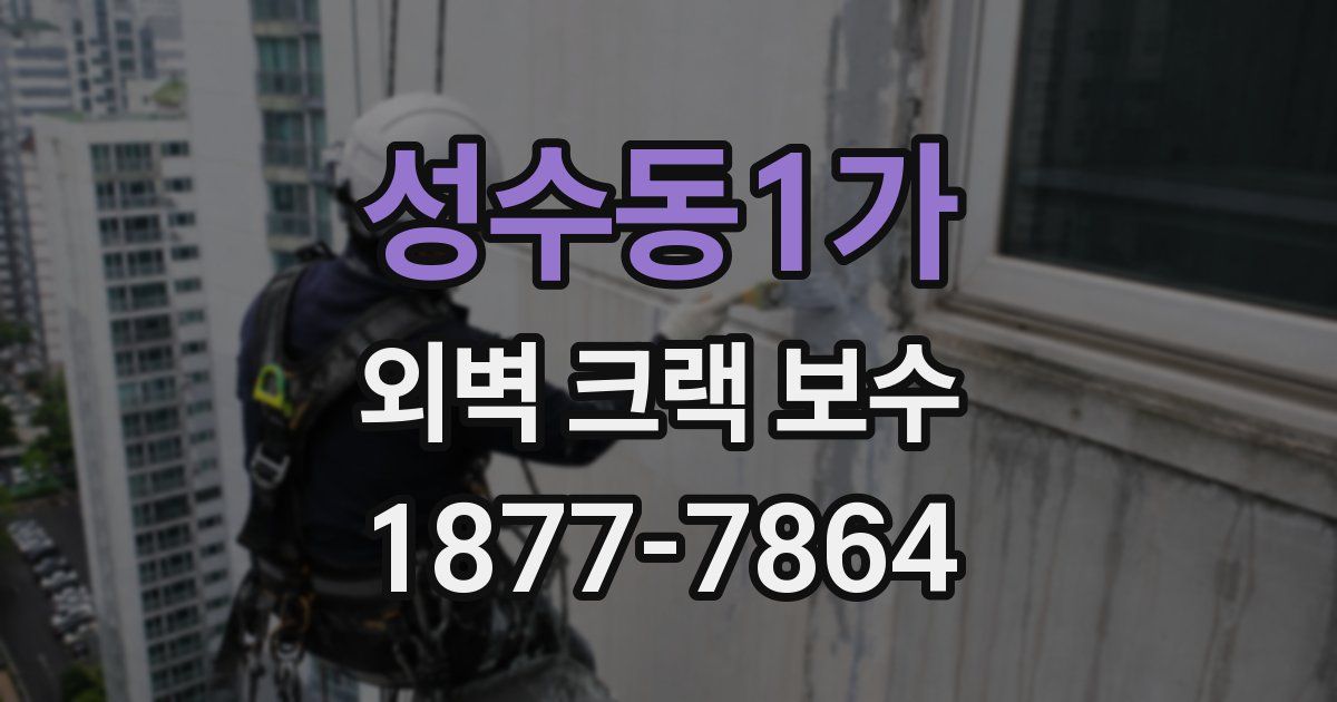 성수동1가 외벽 크랙 보수