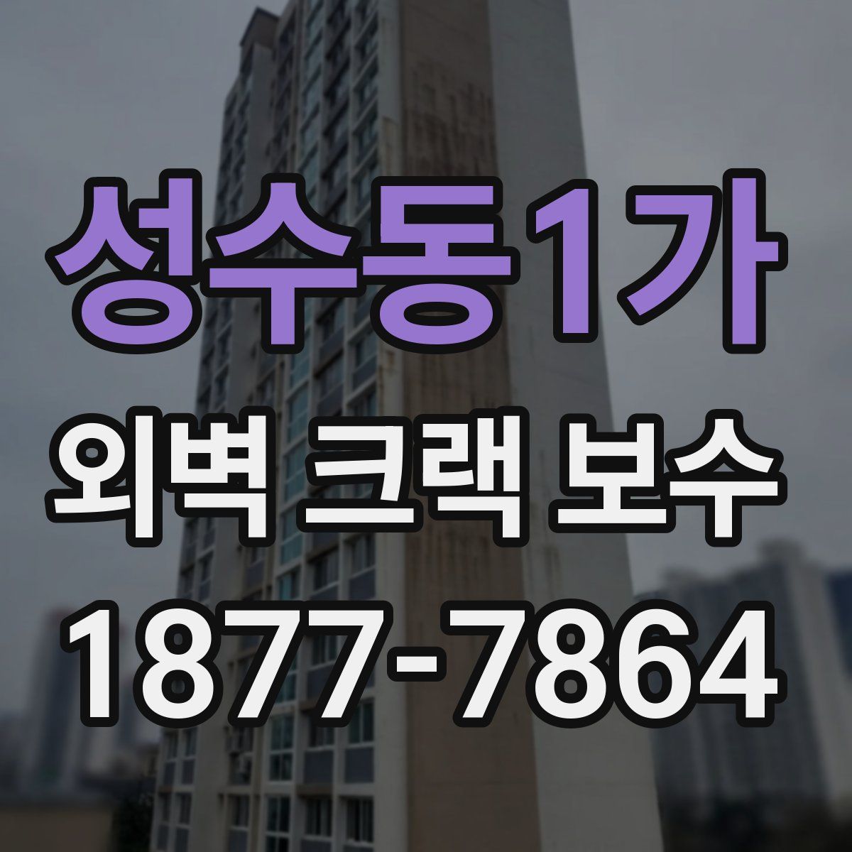 성수동1가 외벽 크랙 보수