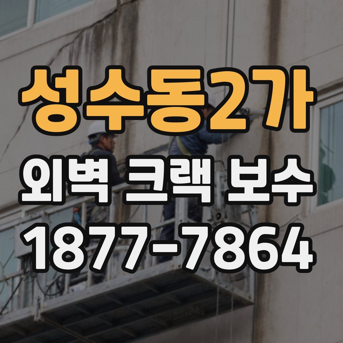 성수동2가 외벽 크랙 보수