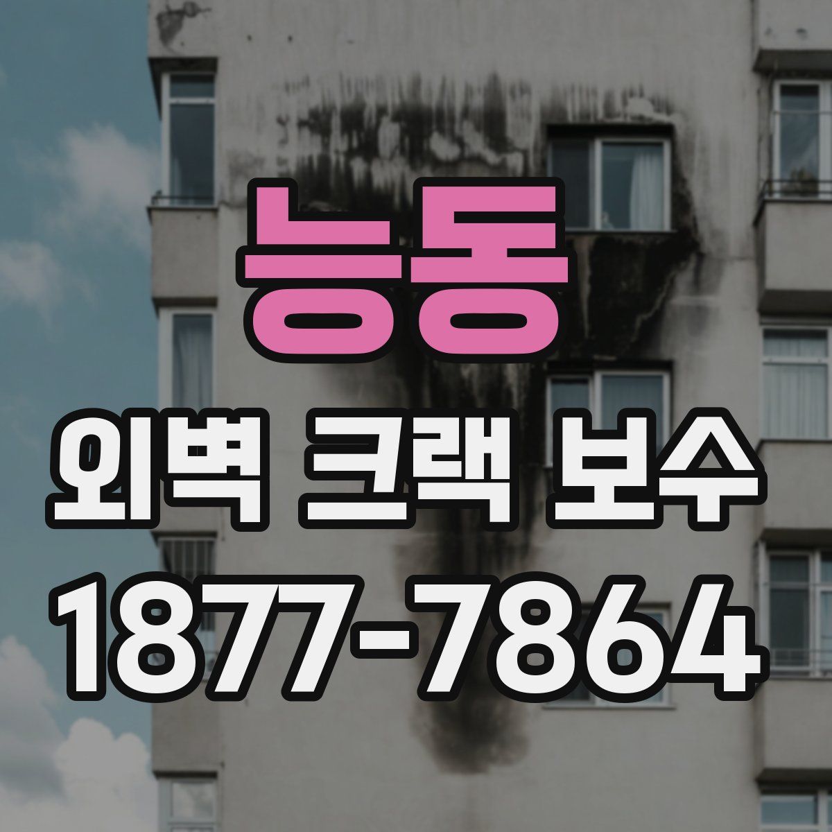 능동 외벽 크랙 보수