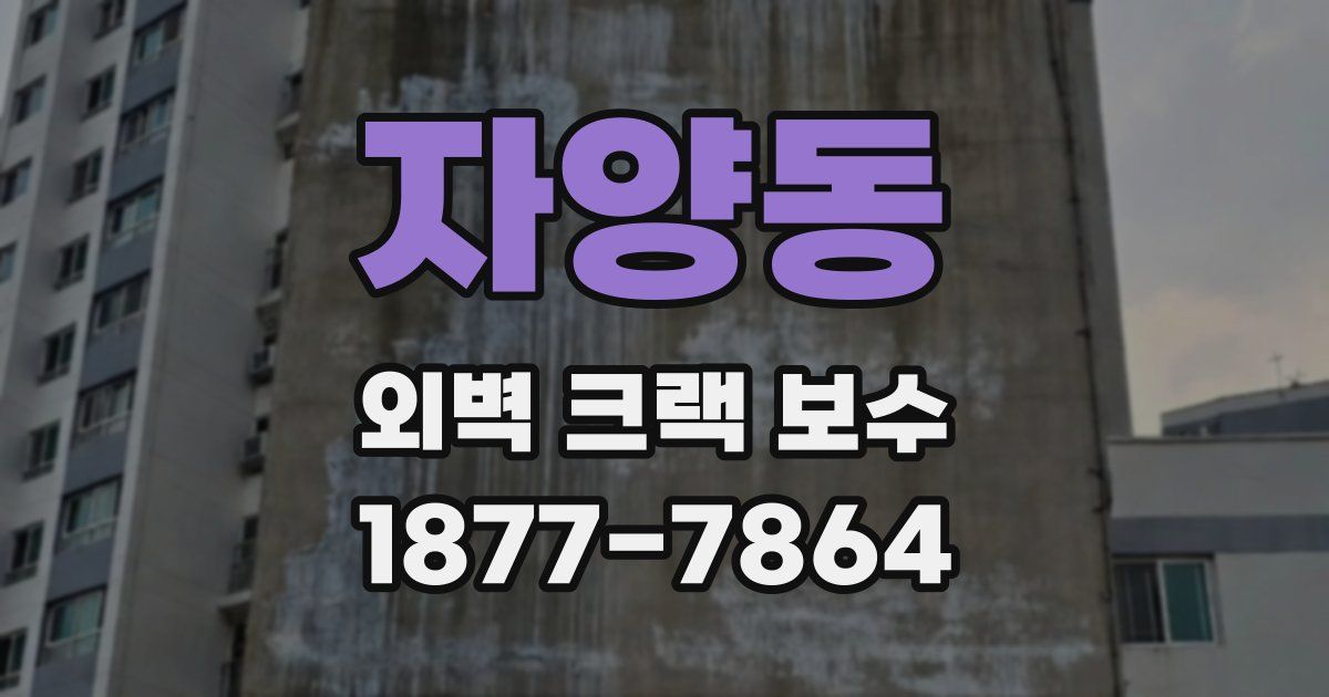 자양동 외벽 크랙 보수