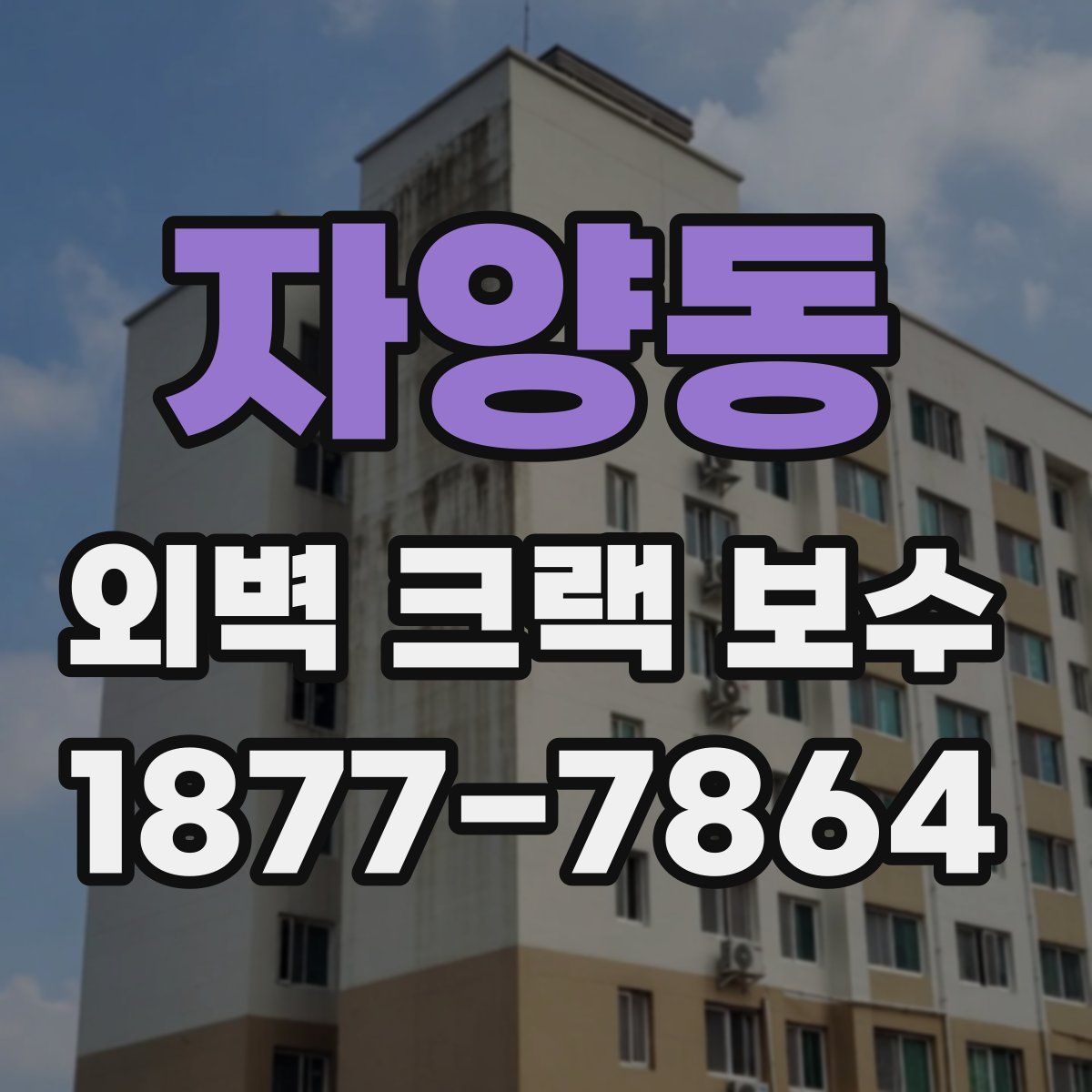 자양동 외벽 크랙 보수