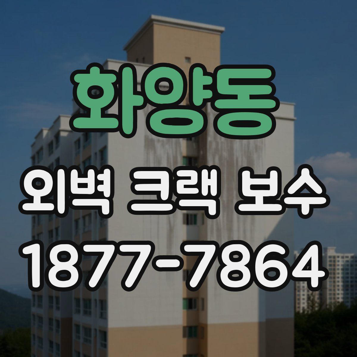 화양동 외벽 크랙 보수