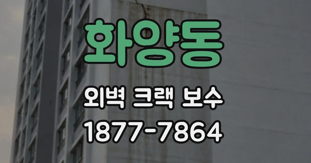 화양동 외벽 크랙 보수