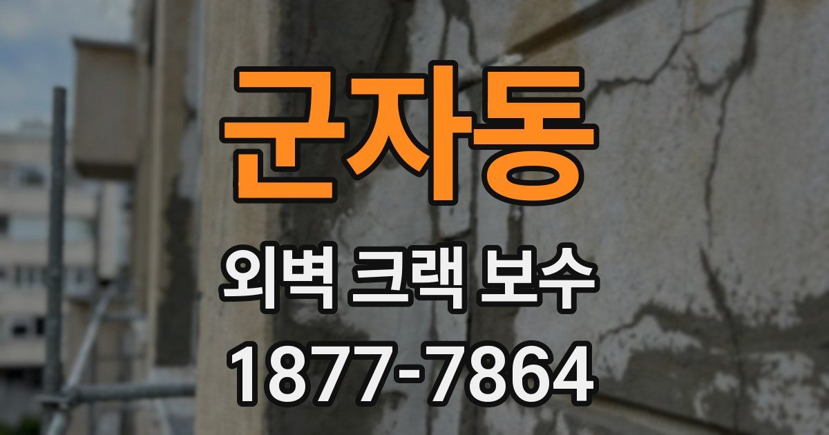 군자동 외벽 크랙 보수