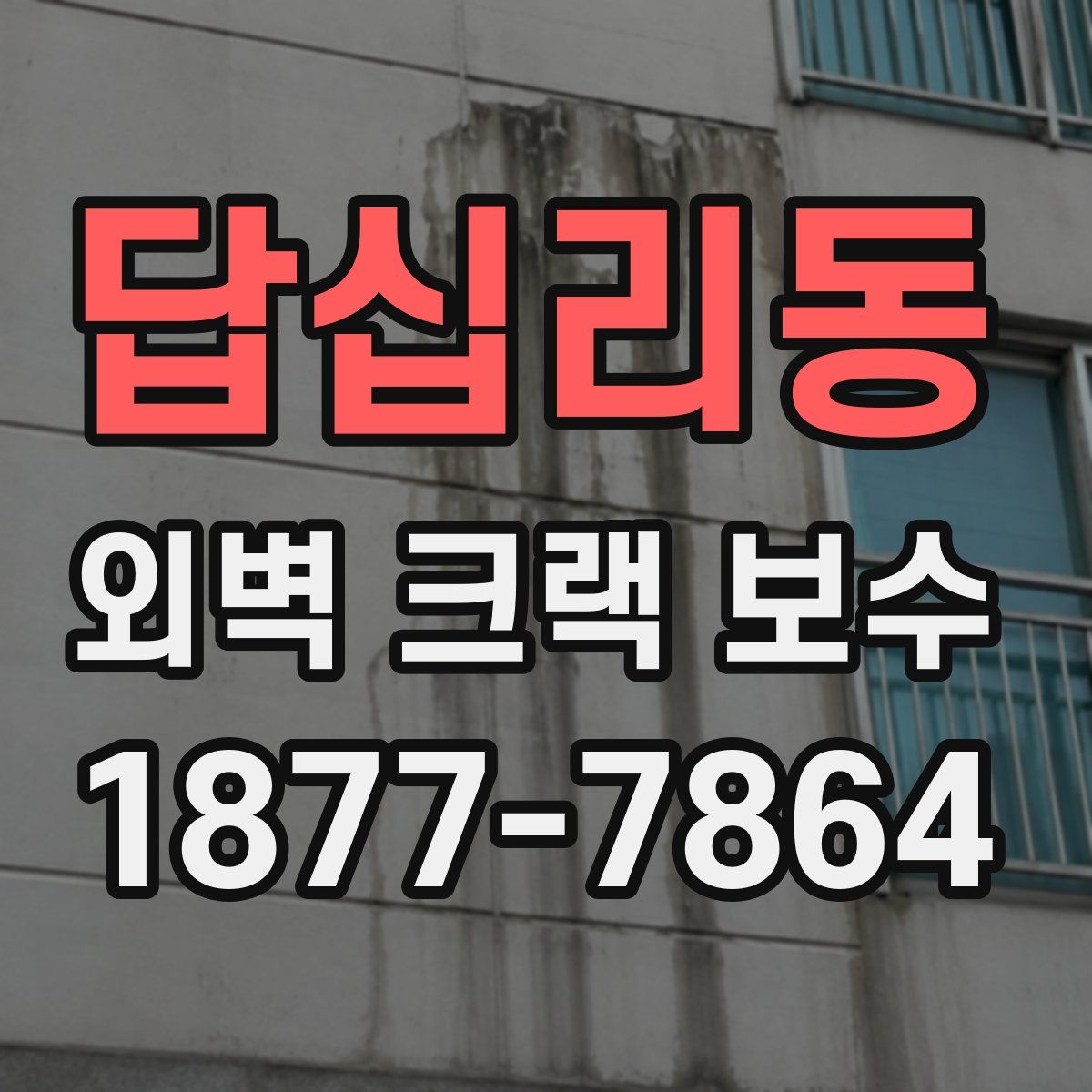 답십리동 외벽 크랙 보수