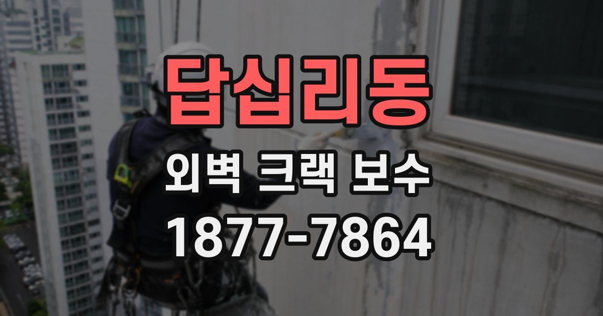 답십리동 외벽 크랙 보수