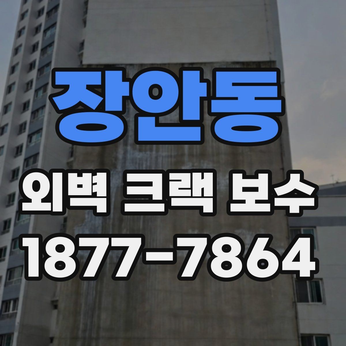 장안동 외벽 크랙 보수 선택 전 알아야 할 핵심 포인트