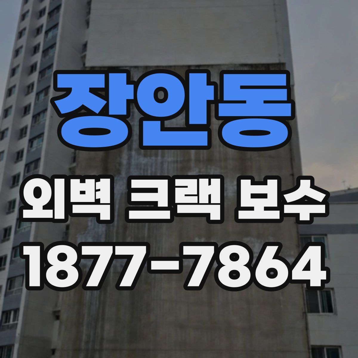 장안동 외벽 크랙 보수