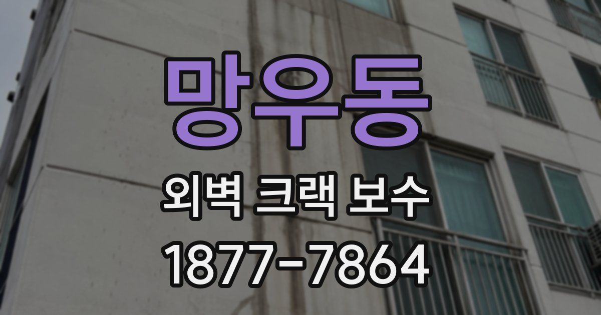 망우동 외벽 크랙 보수