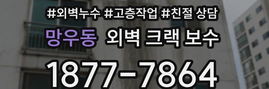망우동 외벽 크랙 보수