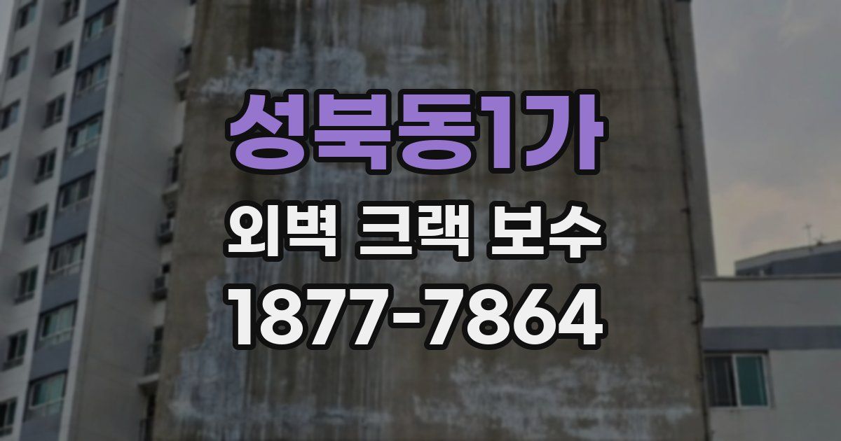 성북동1가 외벽 크랙 보수