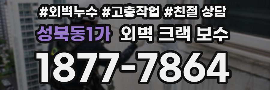성북동1가 외벽 크랙 보수