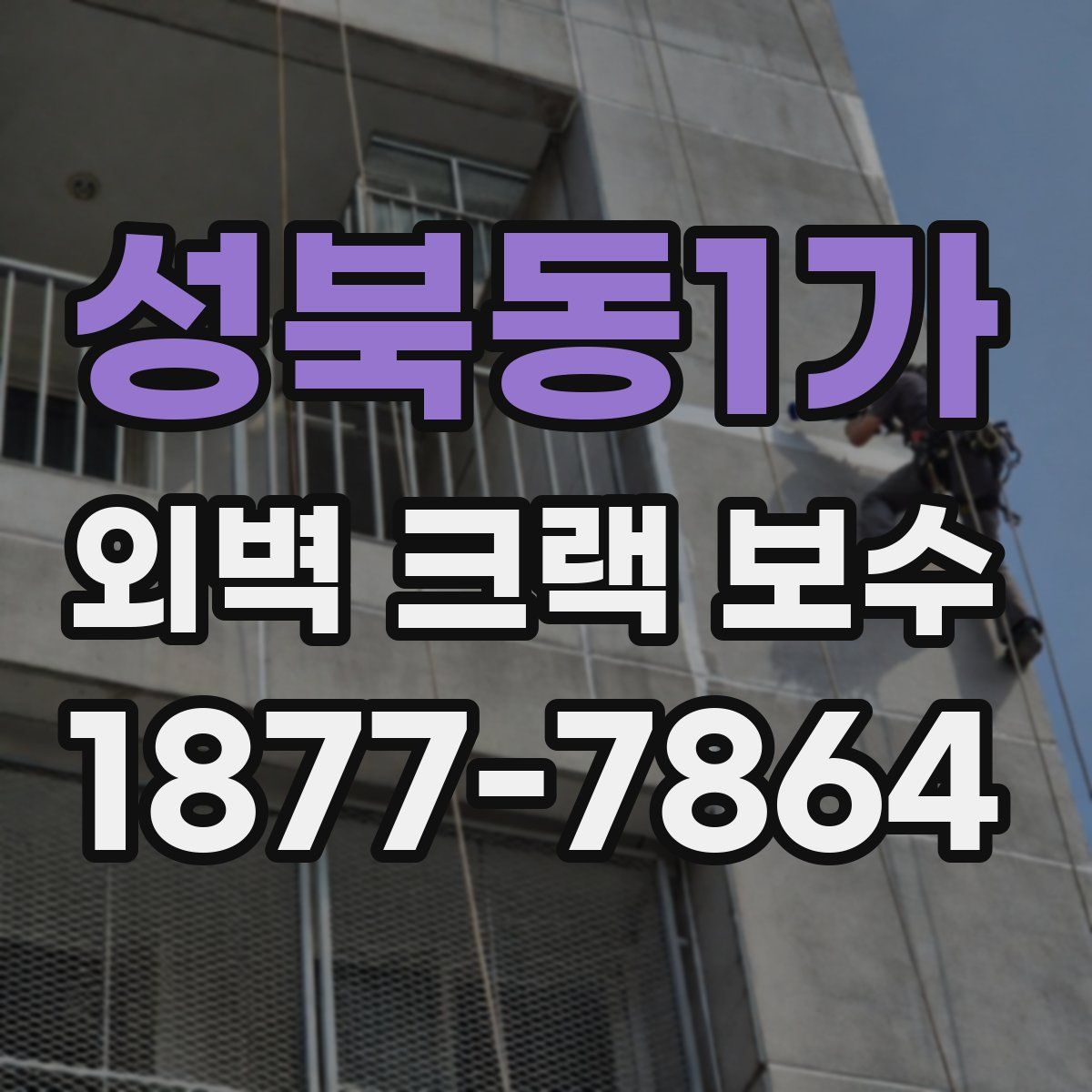 성북동1가 외벽 크랙 보수
