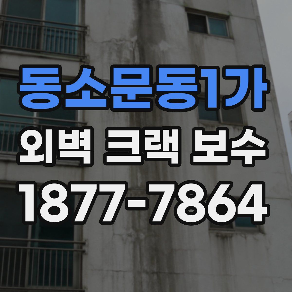 동소문동1가 외벽 크랙 보수