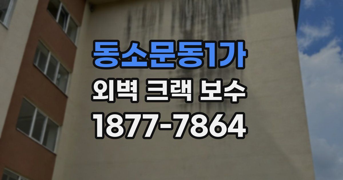 동소문동1가 외벽 크랙 보수