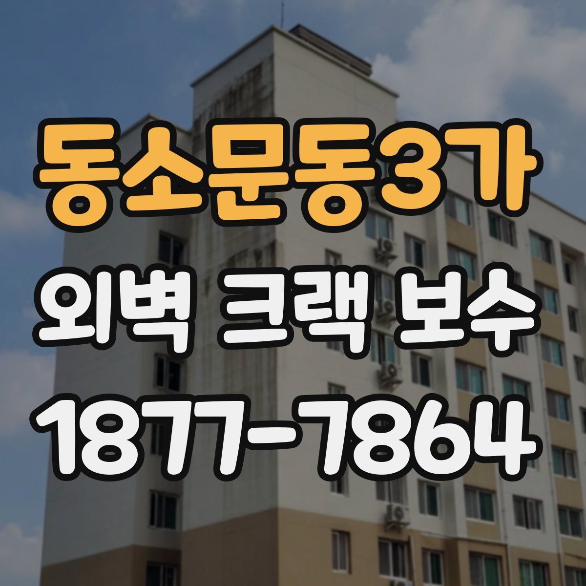 동소문동3가 외벽 크랙 보수