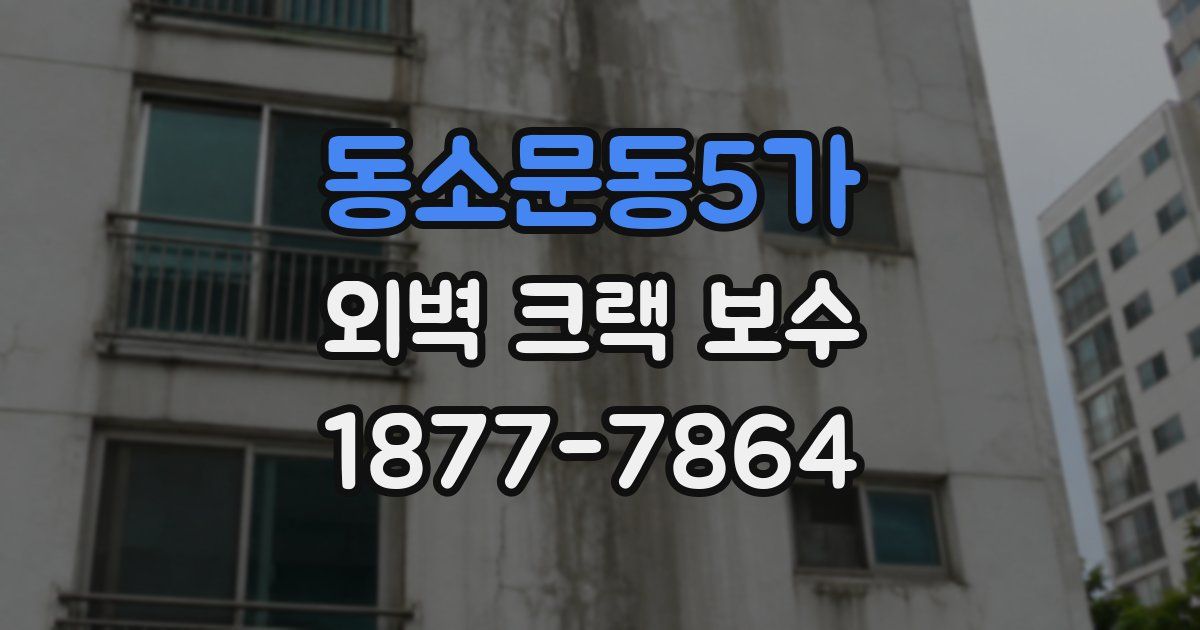 동소문동5가 외벽 크랙 보수