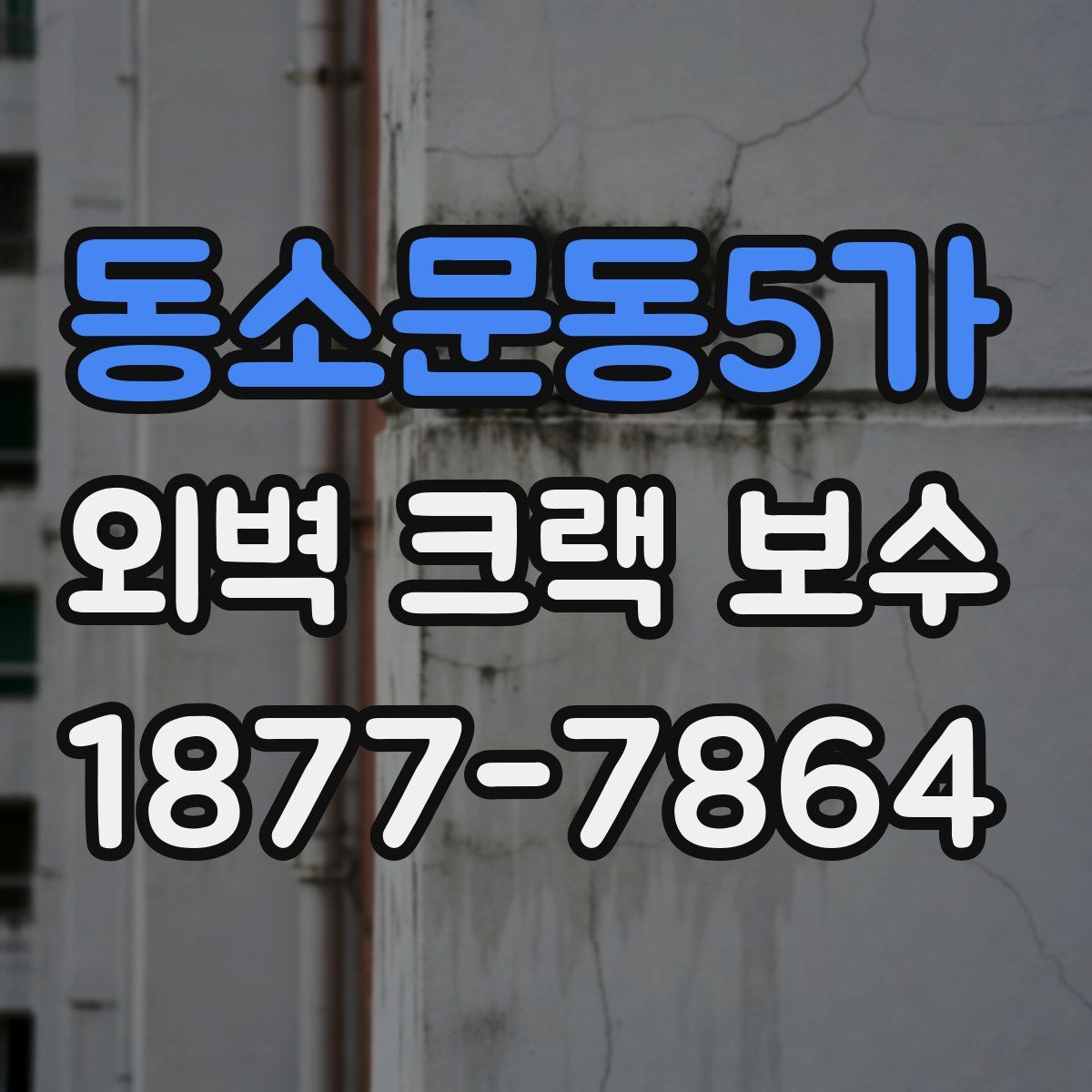 동소문동5가 외벽 크랙 보수