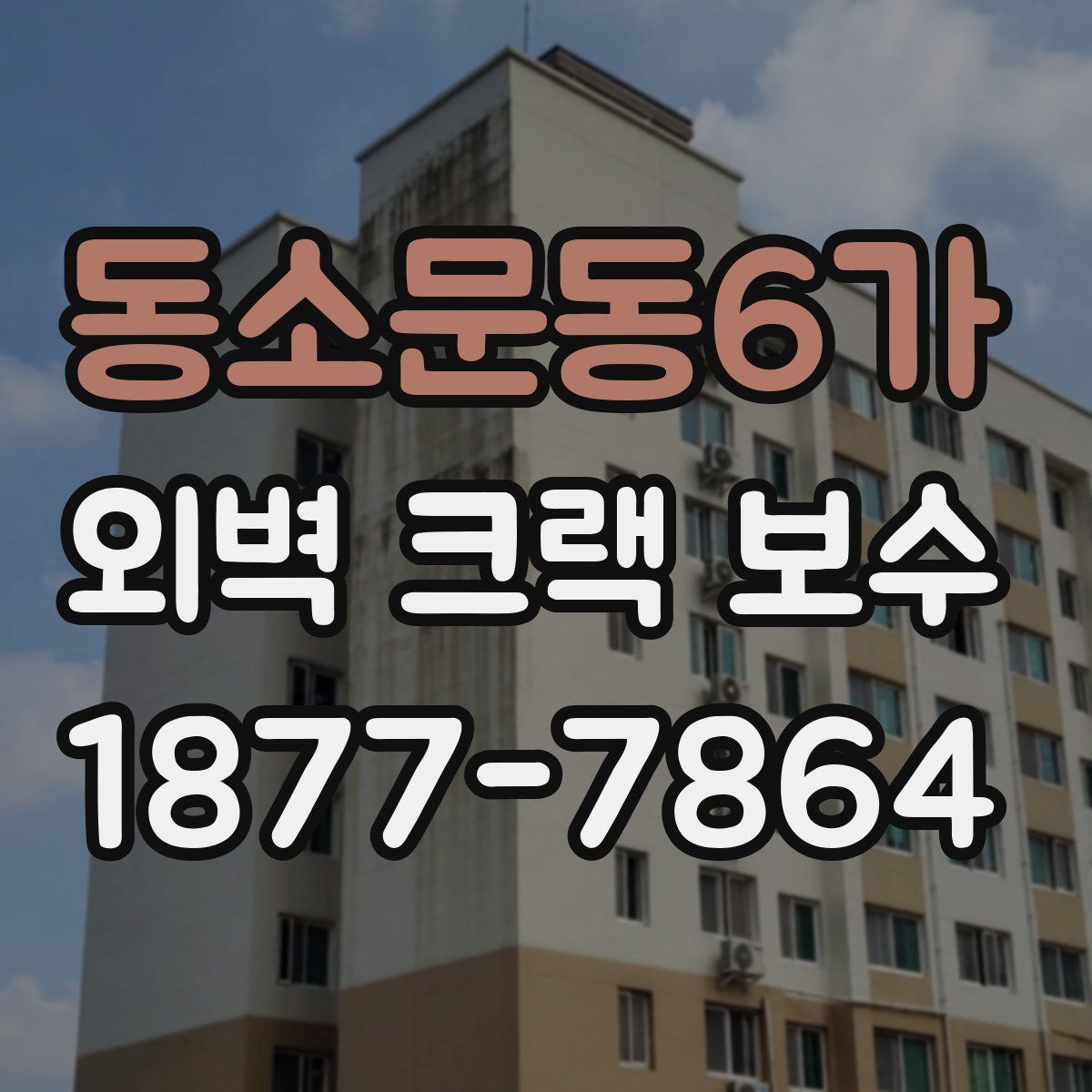 동소문동6가 외벽 크랙 보수