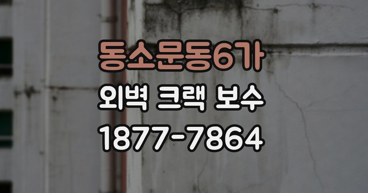 동소문동6가 외벽 크랙 보수