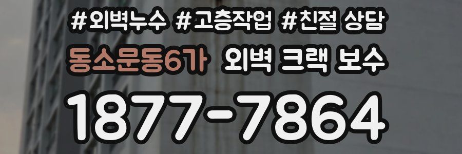 동소문동6가 외벽 크랙 보수