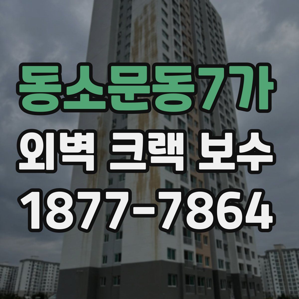 동소문동7가 외벽 크랙 보수