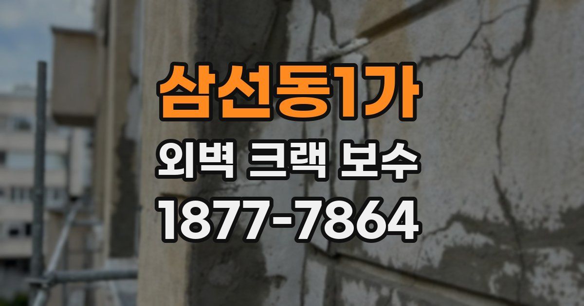 삼선동1가 외벽 크랙 보수