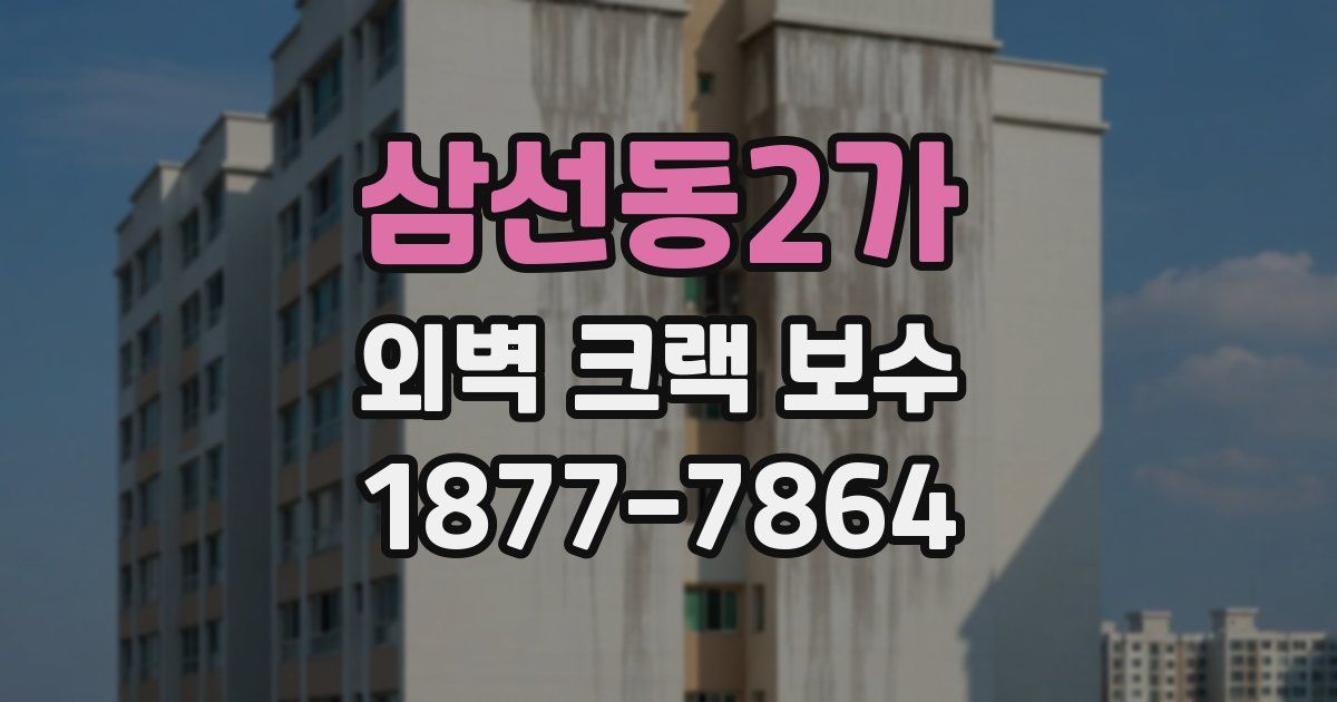 삼선동2가 외벽 크랙 보수