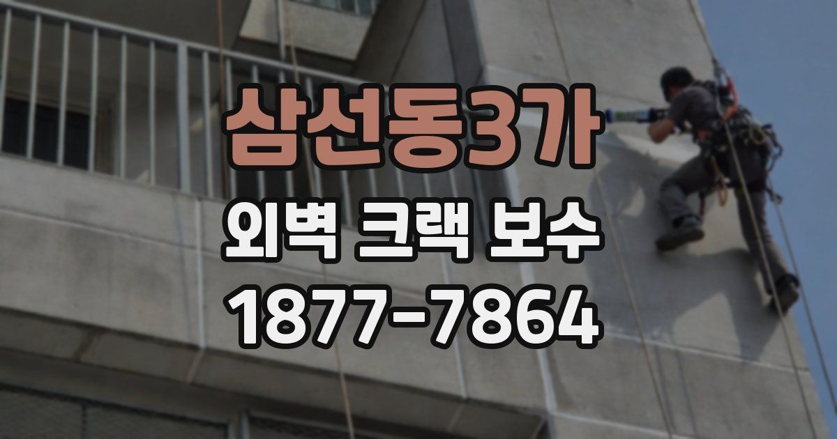 삼선동3가 외벽 크랙 보수