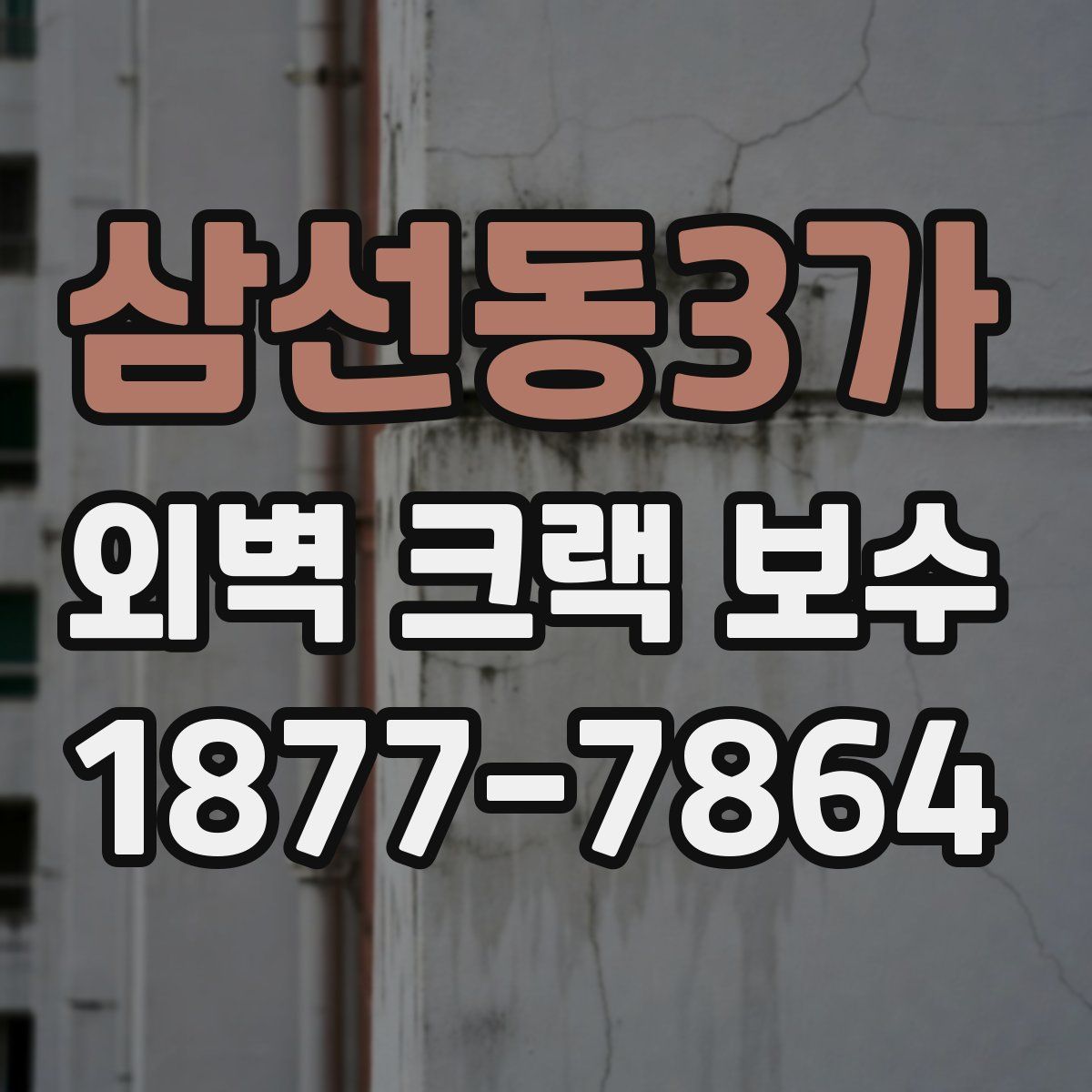 삼선동3가 외벽 크랙 보수