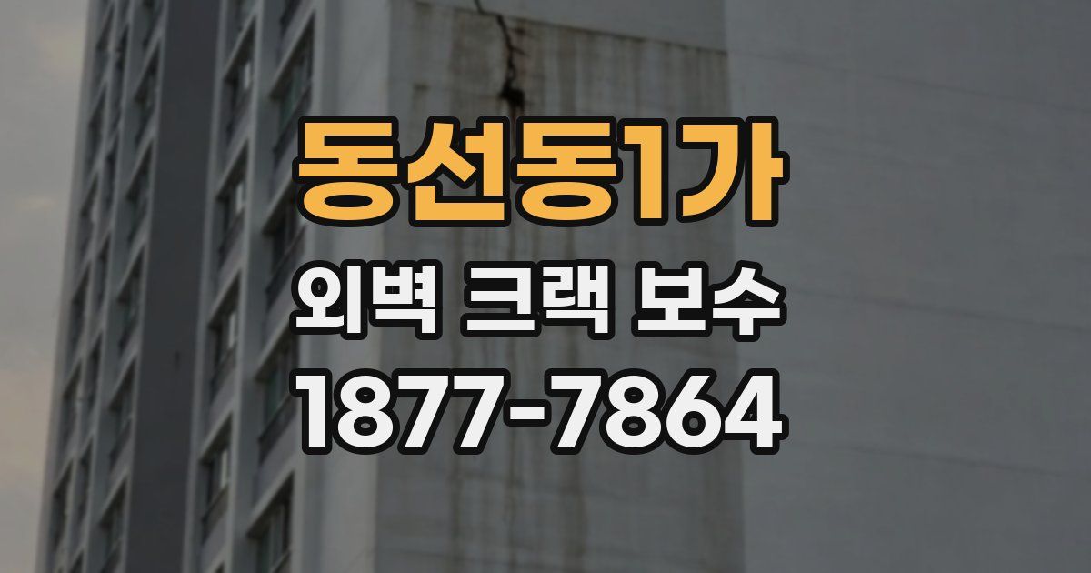 동선동1가 외벽 크랙 보수