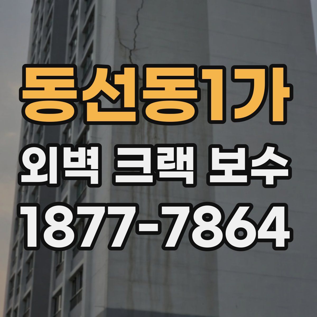 동선동1가 외벽 크랙 보수