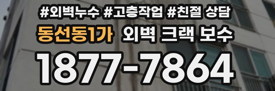 동선동1가 외벽 크랙 보수