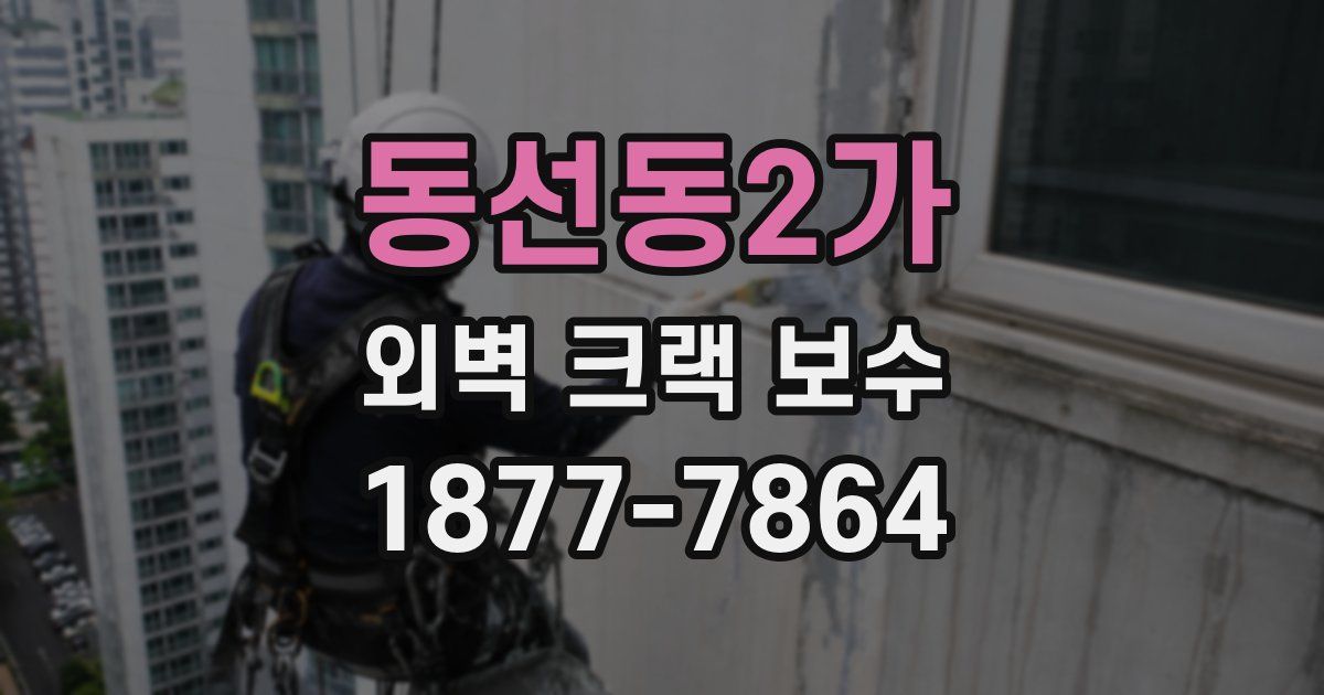 동선동2가 외벽 크랙 보수