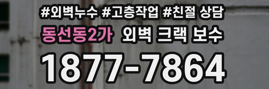 동선동2가 외벽 크랙 보수