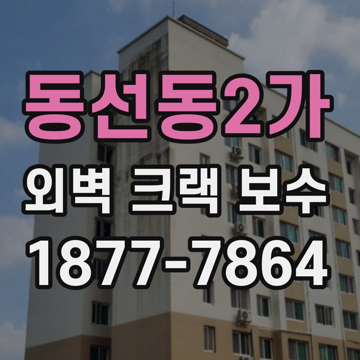 동선동2가 외벽 크랙 보수