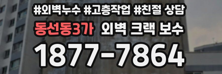 동선동3가 외벽 크랙 보수