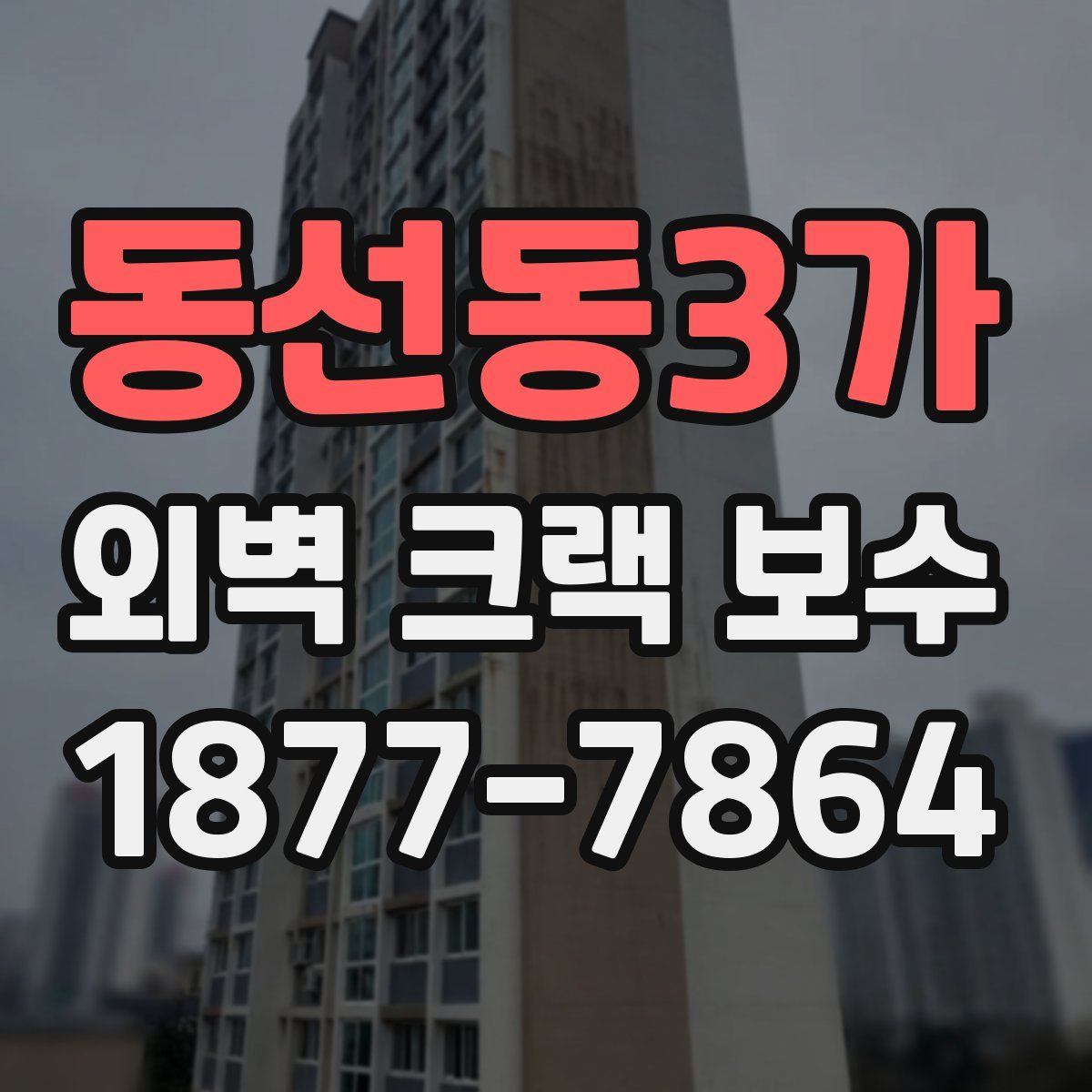 동선동3가 외벽 크랙 보수