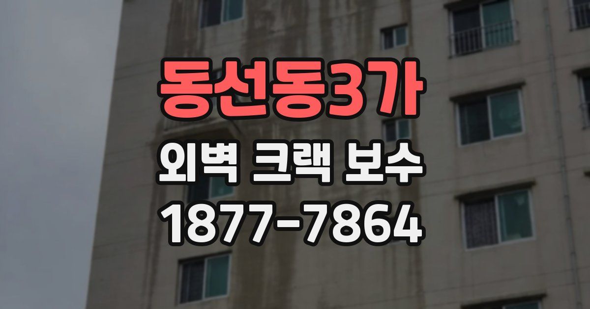 동선동3가 외벽 크랙 보수